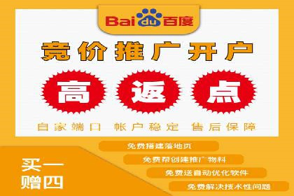 竞价排名案例：跨平台推广效果分析